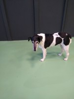 photo-6